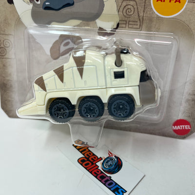 APPA * Hot Wheels Character Cars Case B Avatar The Last Airbender